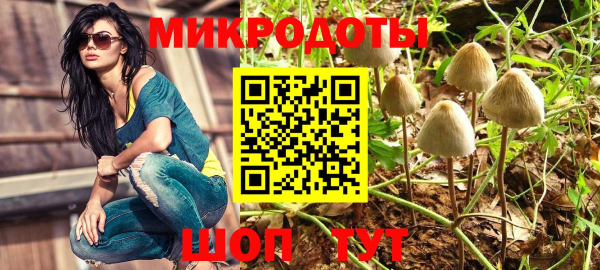 Галлюциногенные грибы Cubensis  Вход с VPN  Кингисепп 